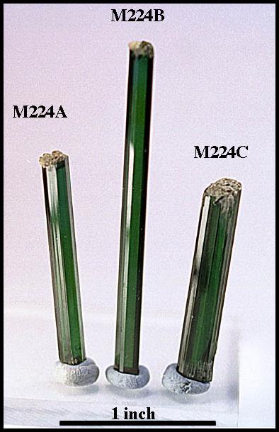 M224